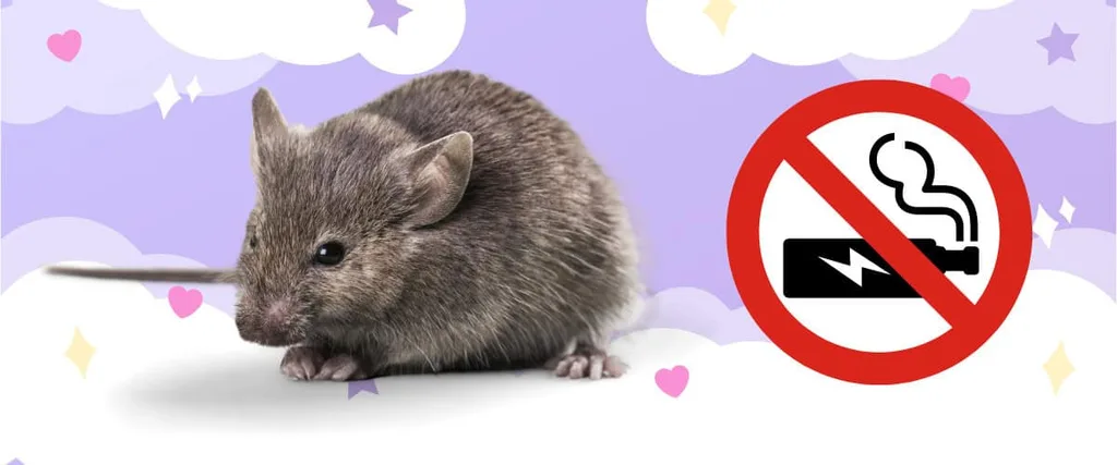 Are mice-related vape studies highly misleading?