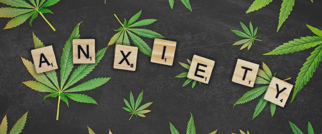 Study Finds CBD Can Reduce Chronic Anxiety in Treatment-Resistant Young People