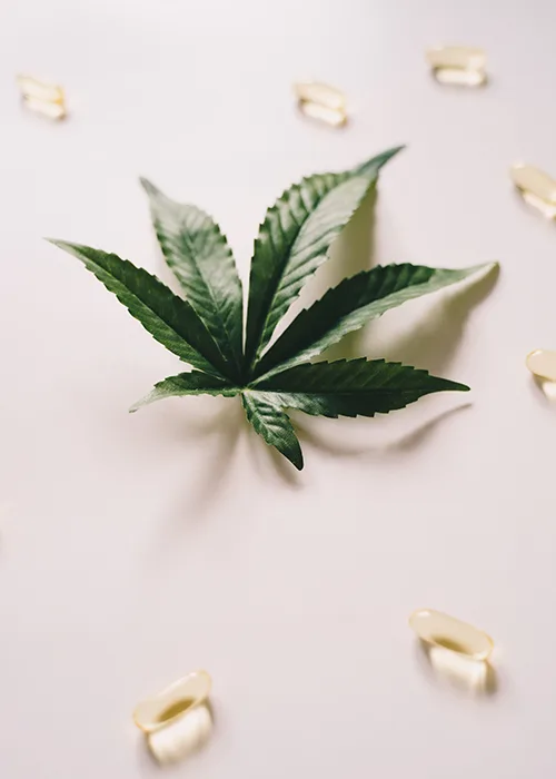 What dose of CBD was used to treat anxiety?