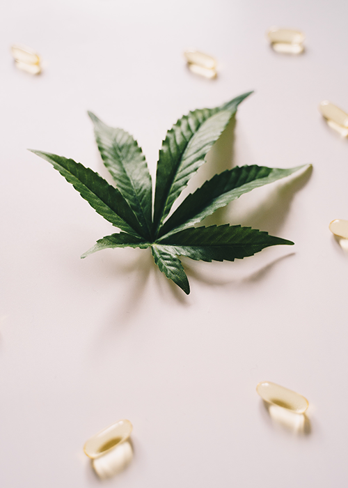 What dose of CBD was used to treat anxiety?